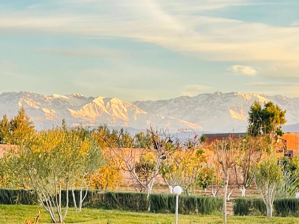 La Hacienda Private Villa with Pool & Palm Garden Villa in Marrakesh-Safi