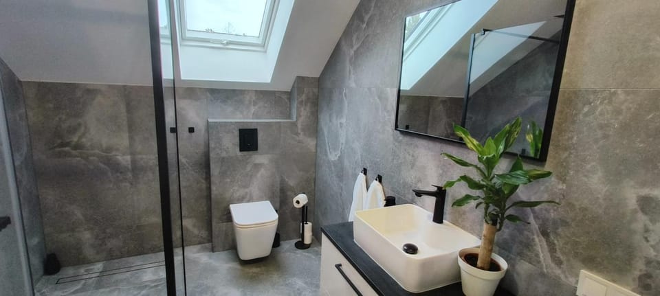 Shower, Toilet, Bathroom, towels