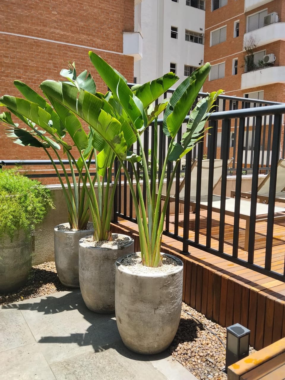 Cobogo unit 116 Apartment in Sao Paulo City