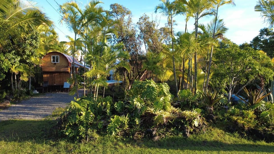 Natural landscape, Garden view, Parking