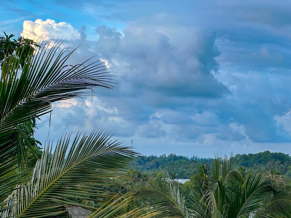 Day, Natural landscape
