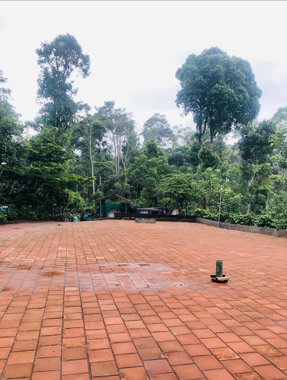 COFFEE ESTATE STAY COORg Hotel in Madikeri