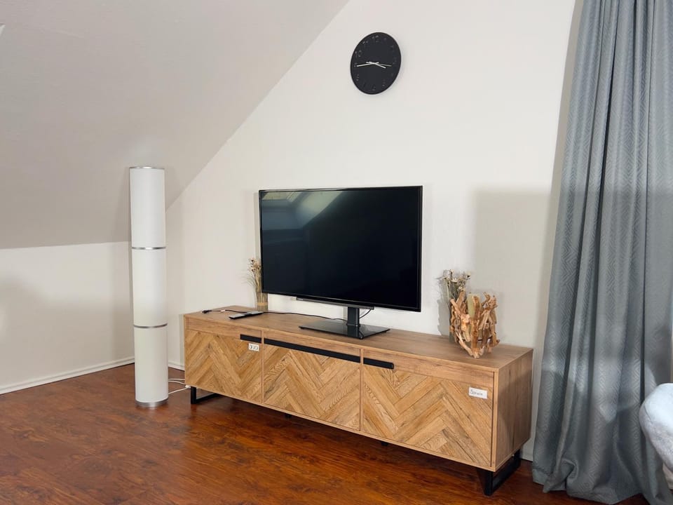 TV and multimedia