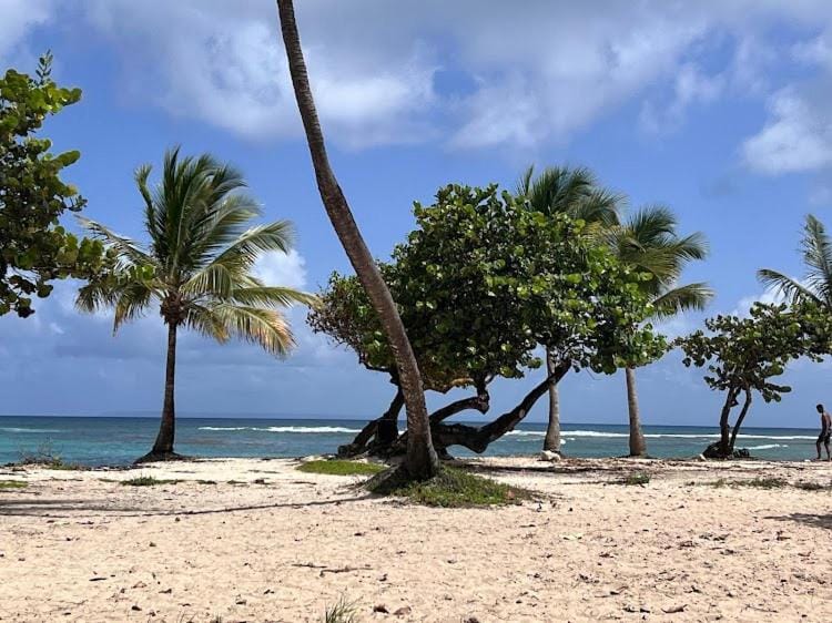Aqua longe Saint-François Apartment in Grande-Terre, Guadeloupe
