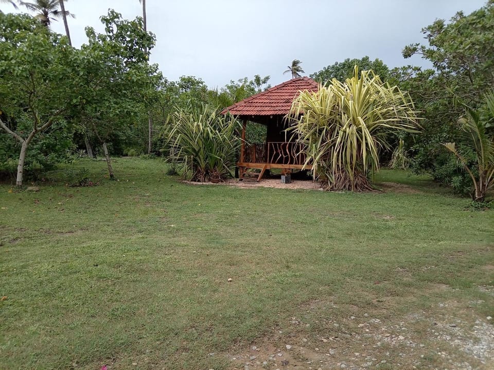 Property building, Garden