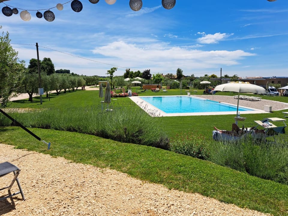 Swimming pool, sunbed