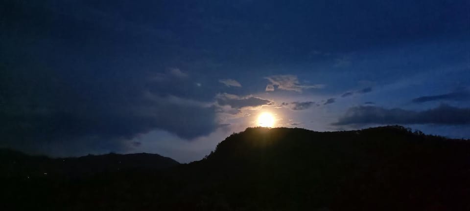 Night