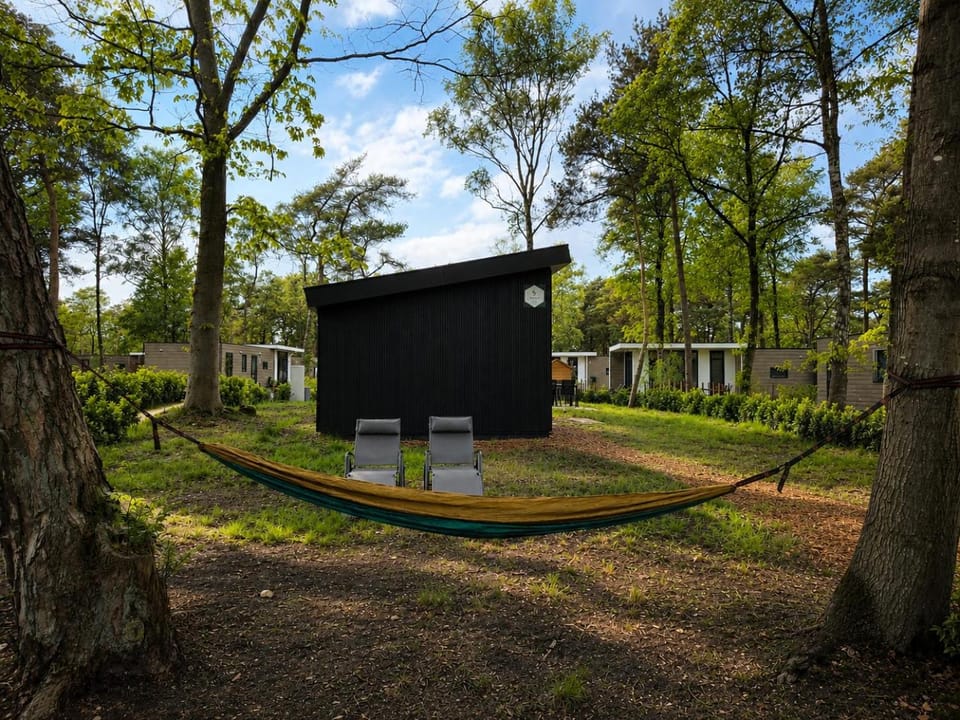 Property building, Spring, Garden, Garden view