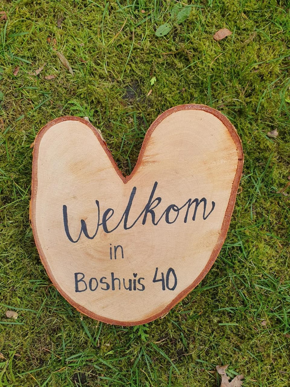 Boshuis 40 House in Epe