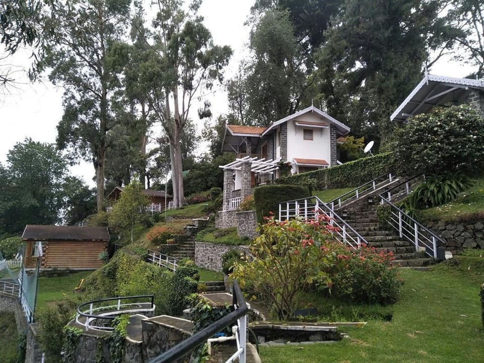 Garden view