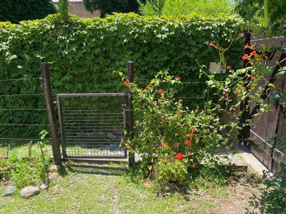 Felicidades Vacation rental in Rosario