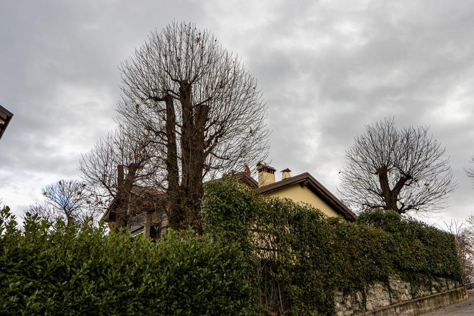 Property building, Day, Garden, Garden view, Landmark view