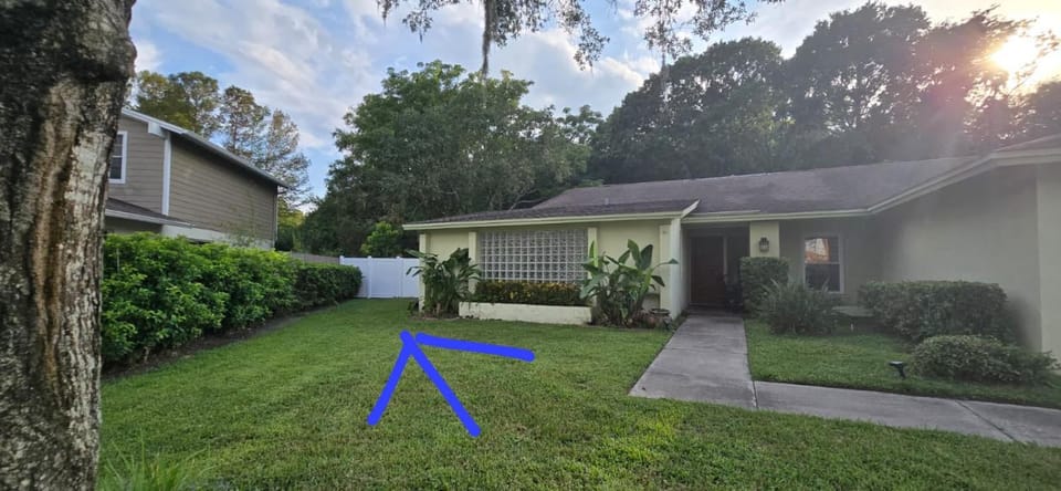 Cozy Tampa Studio Apartment Best Deal Apartment in Tampa