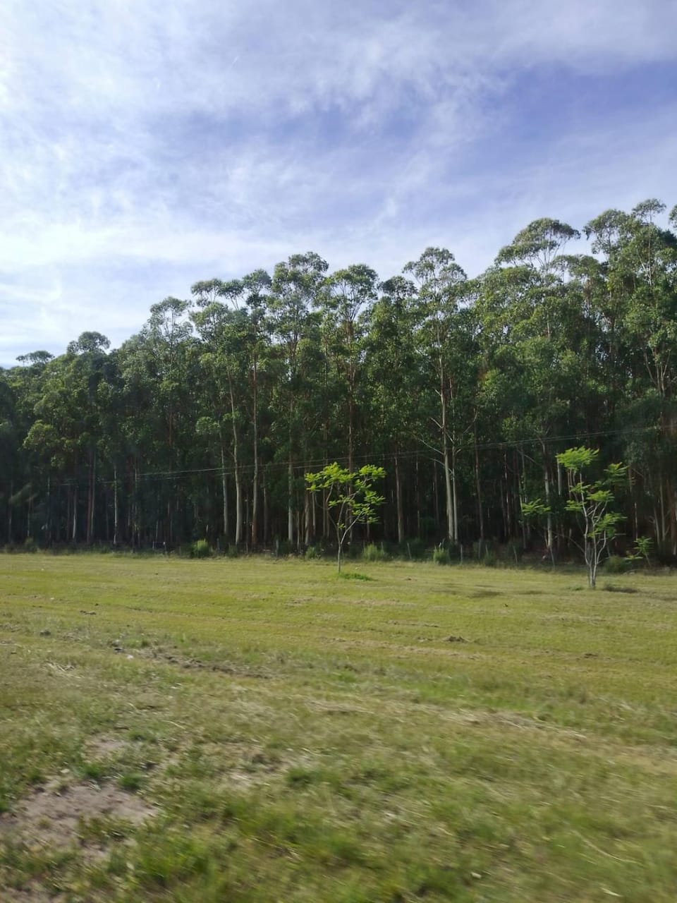Natural landscape