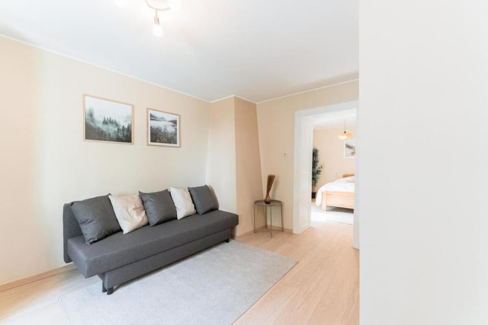 An Entire Spacious House near to the City Centre House in Luxembourg