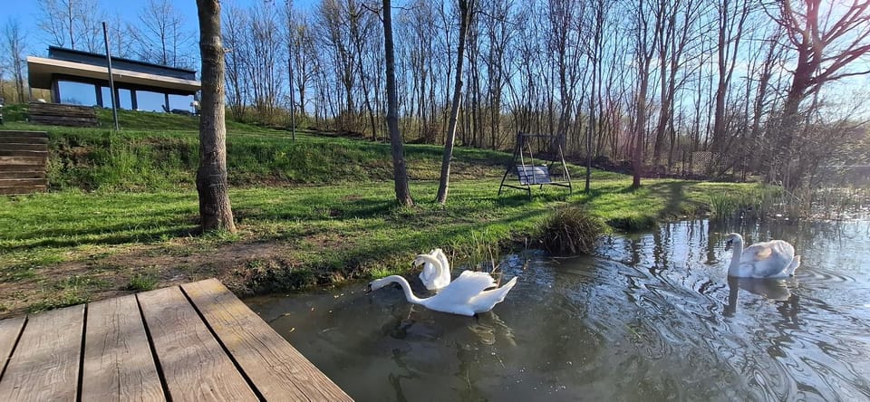 Spring, Natural landscape