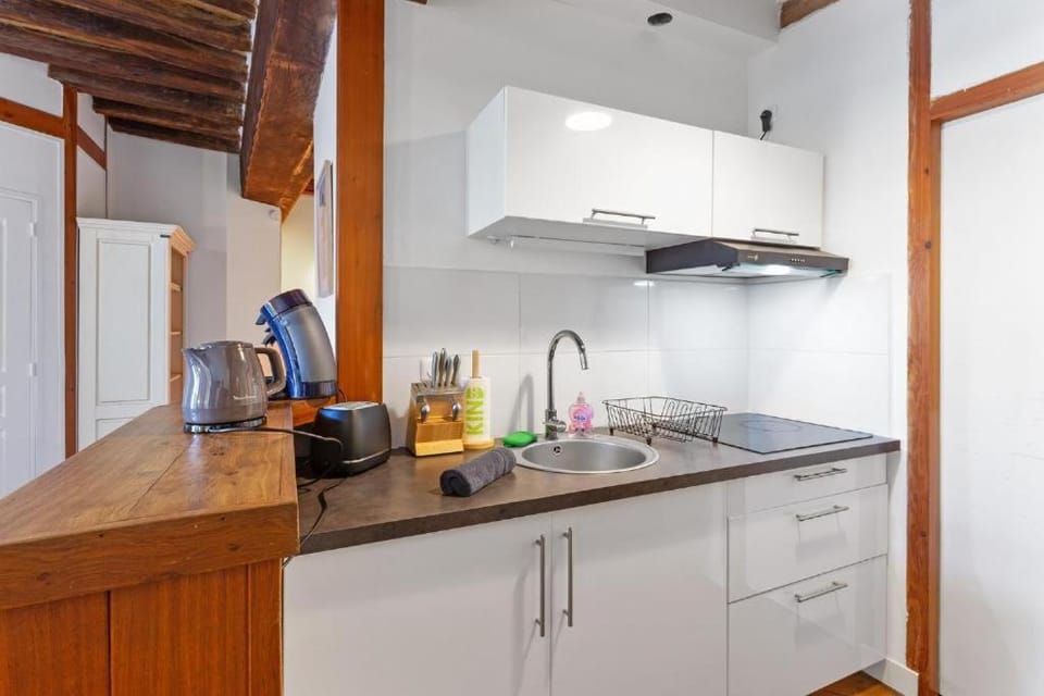 cœur du Bouffay Apartment in Nantes