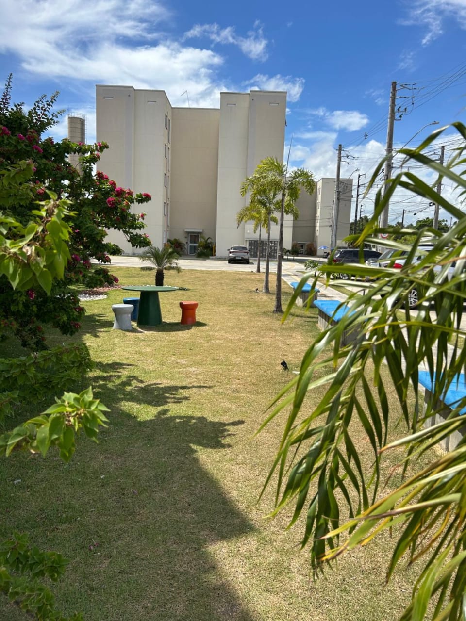 Garden view