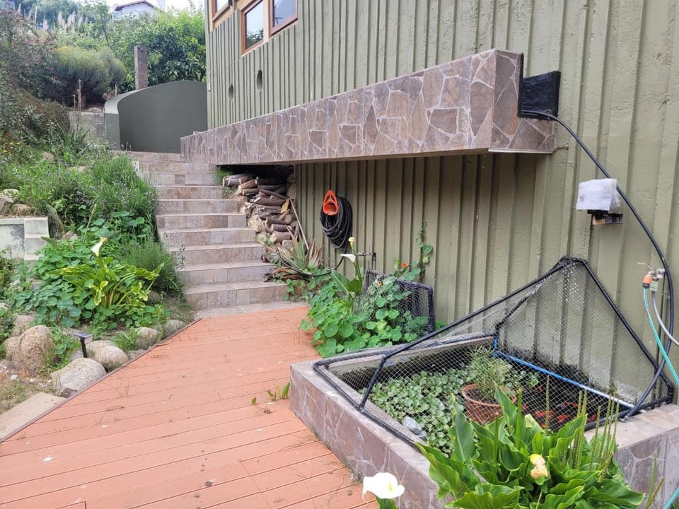 Property building, Summer, Garden, Garden view