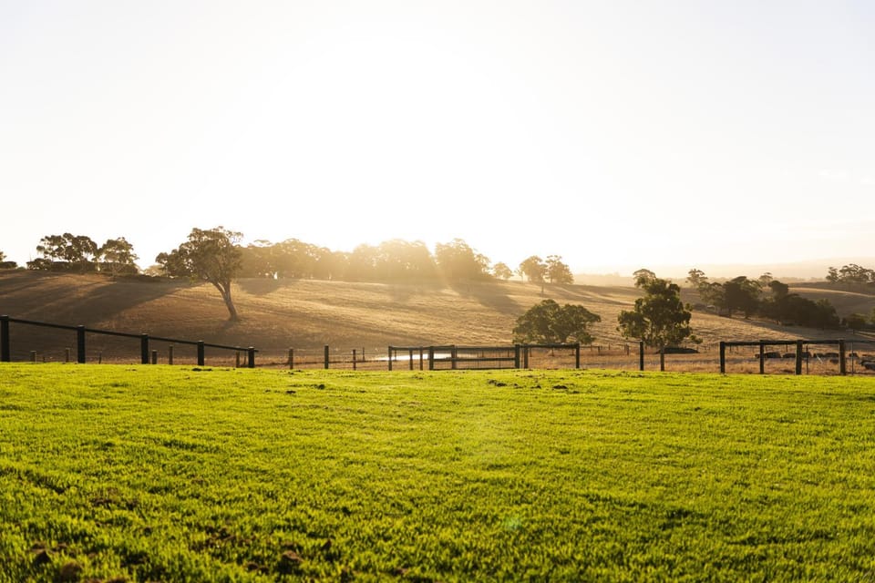 Natural landscape, Sunset