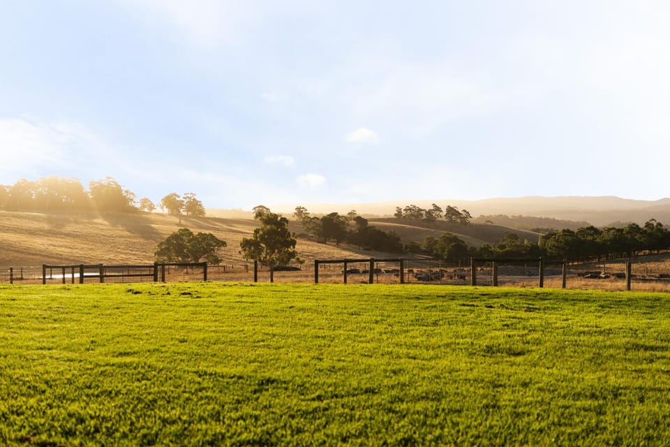 Day, Natural landscape, Mountain view