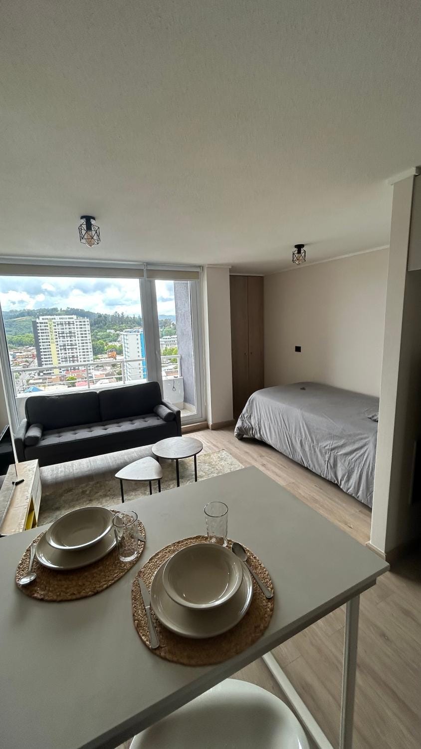 Departamento centro de Concepción Apartment in Bio Bio, Chile
