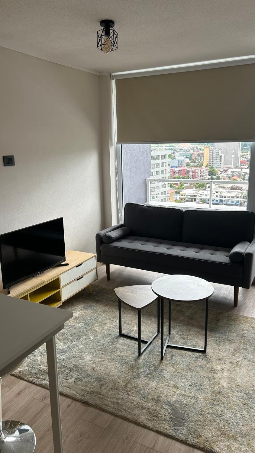 Departamento centro de Concepción Apartment in Bio Bio, Chile