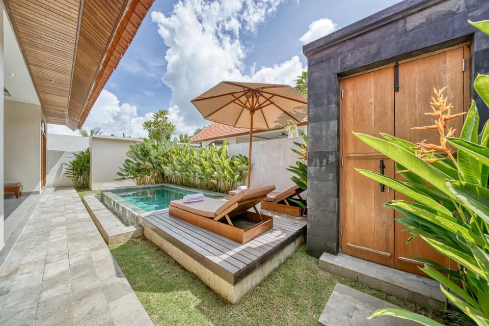 Garden, Pool view, sunbed