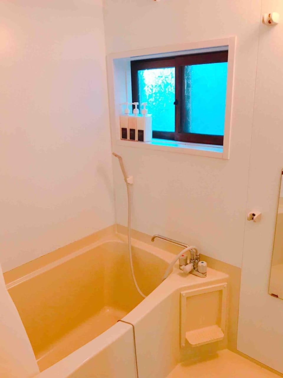 Hakone&Odawara private house Exclusive use Apartment in Kanagawa Prefecture