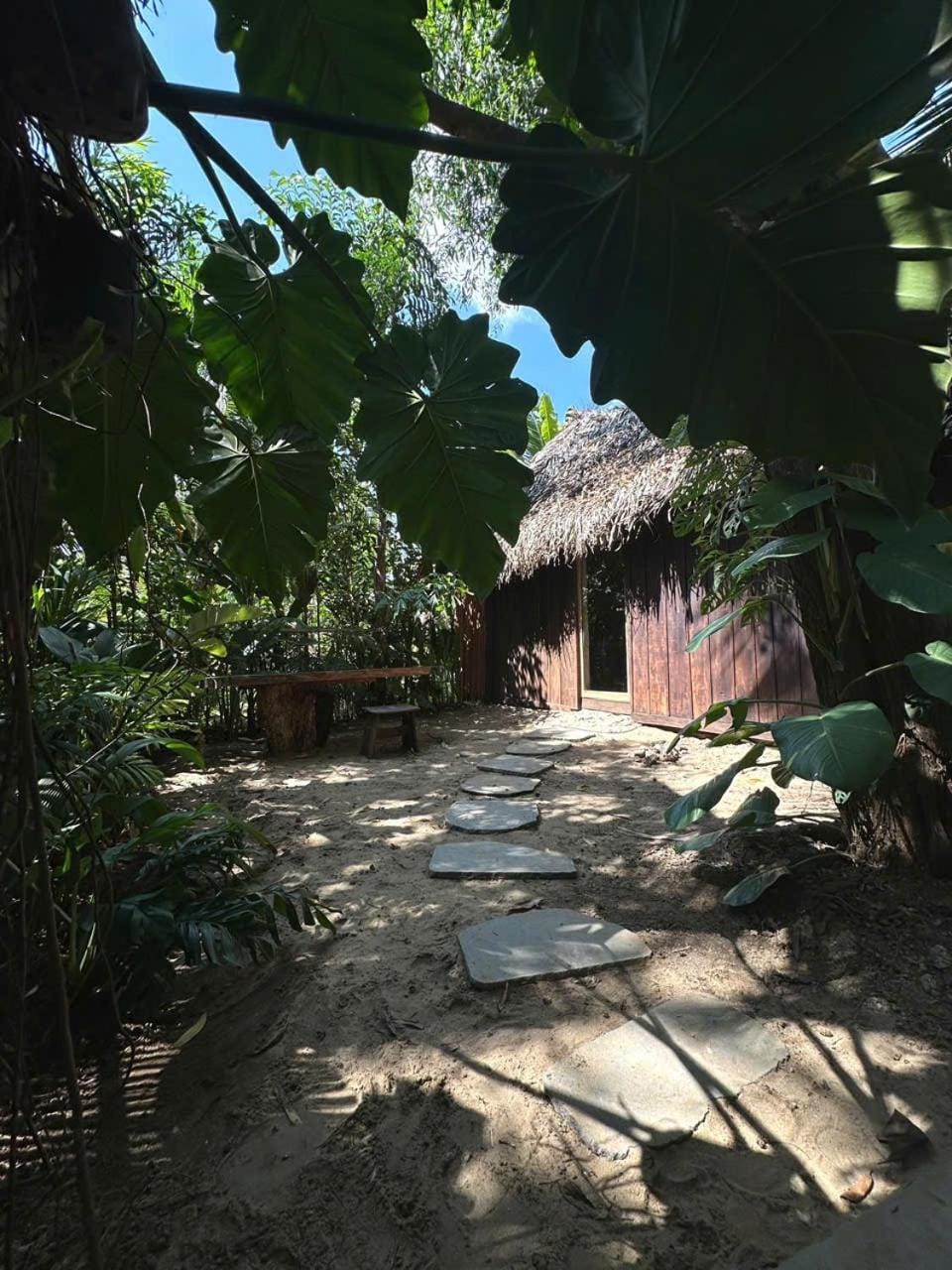 Garden view