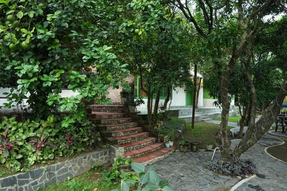 The Palm Bliss Resort - Wellness Resort in Uttarakhand