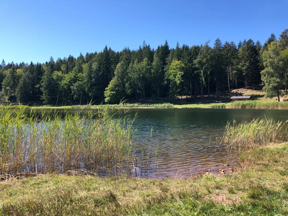 Natural landscape, Lake view