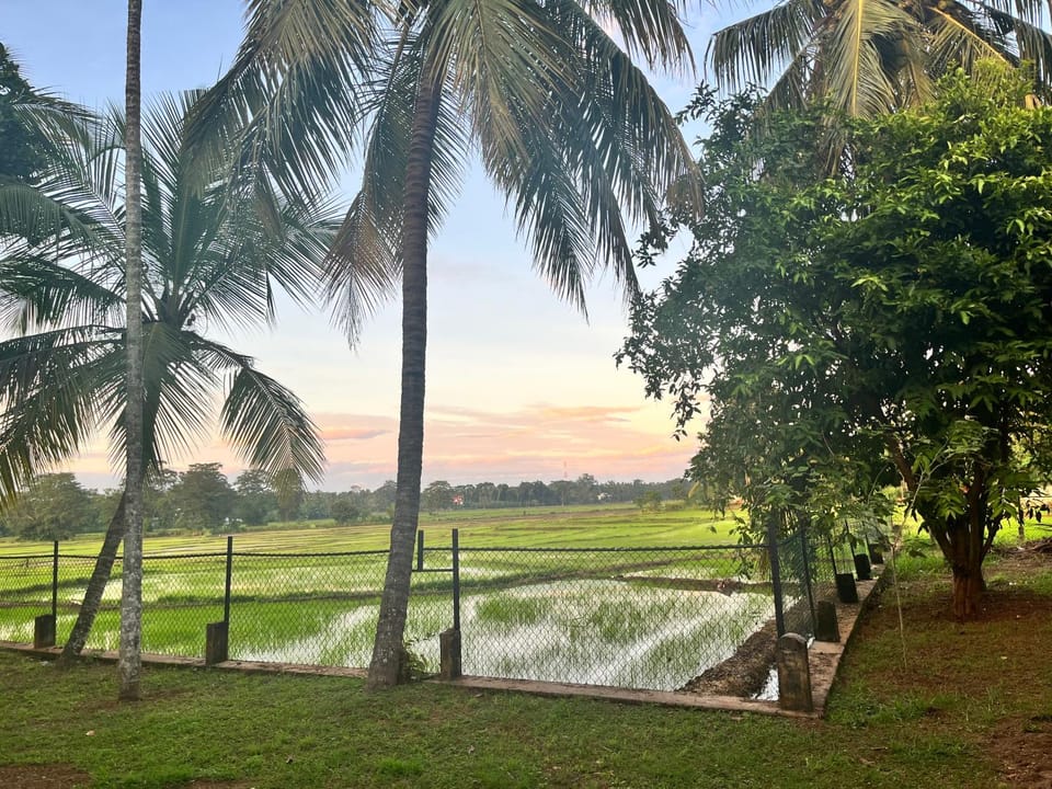 Garden view