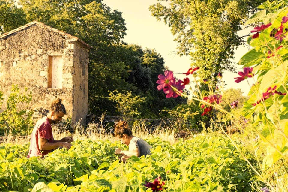 Mazet à la ferme House in Uzes