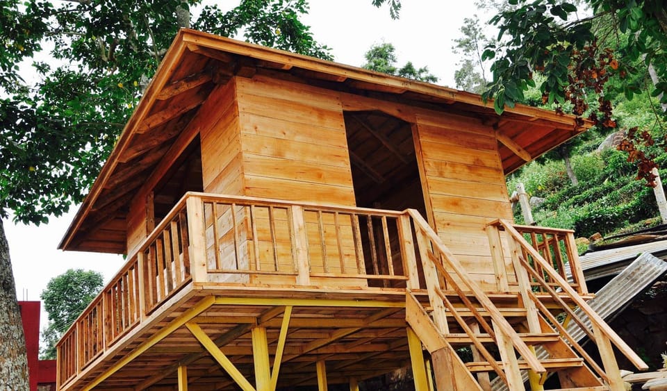 Patio, Balcony/Terrace, Area and facilities