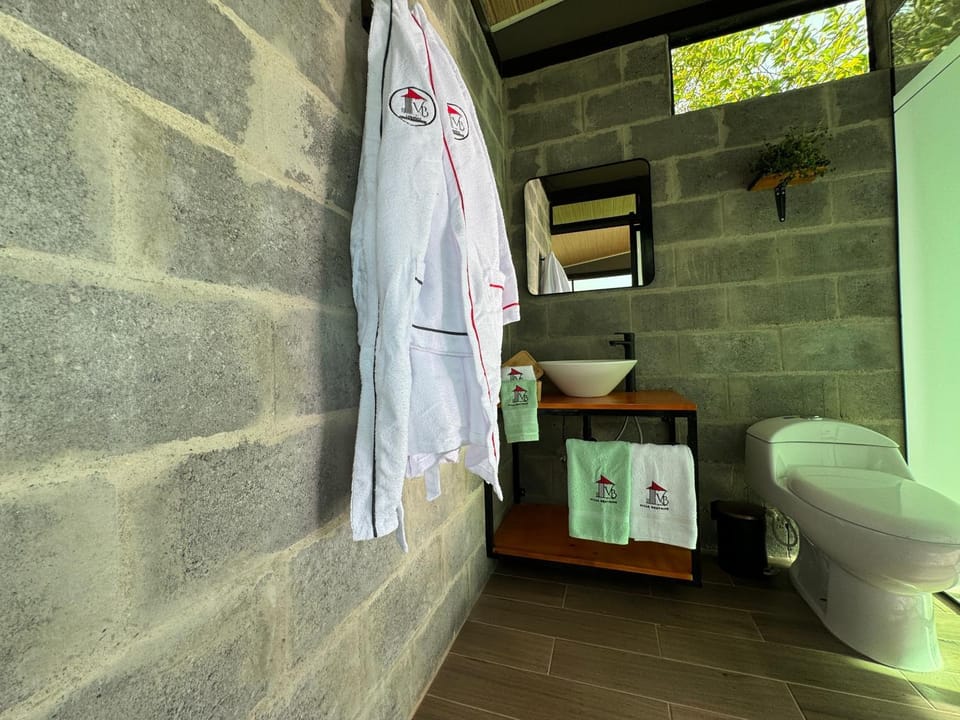 Toilet, Bathroom, towels