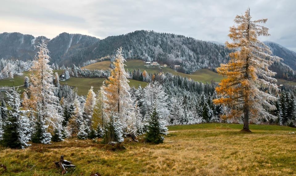 Natural landscape