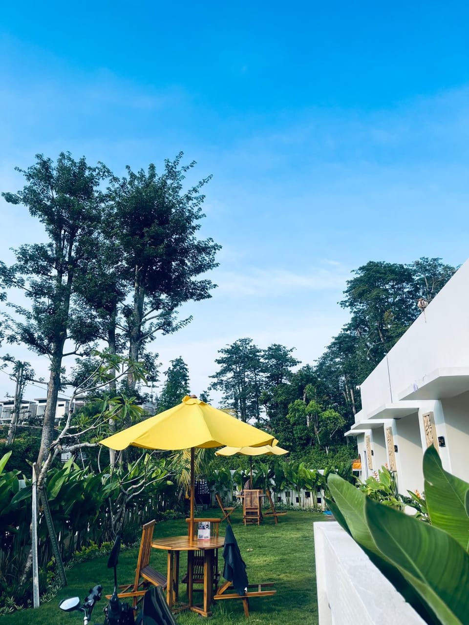 Garden, Garden view