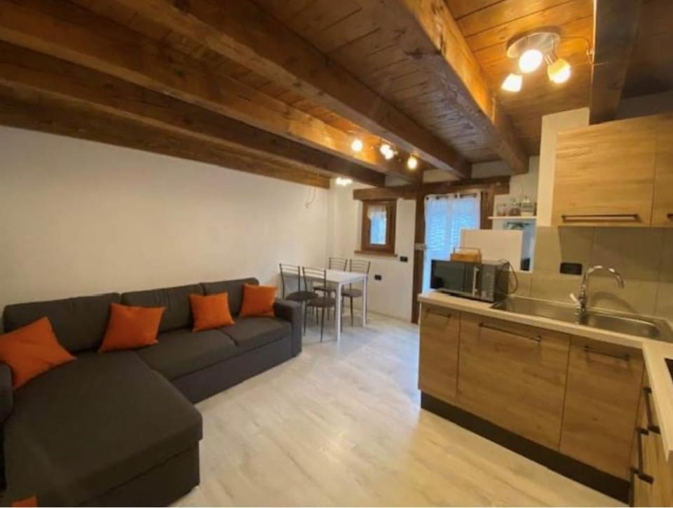 Kitchen or kitchenette, Living room, Seating area, Dining area, stove