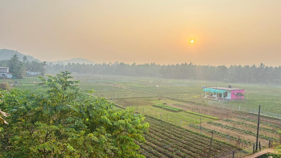 Day, Natural landscape