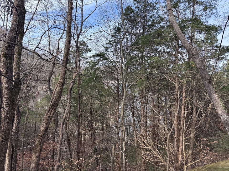 Day, Natural landscape, View (from property/room), View (from property/room)