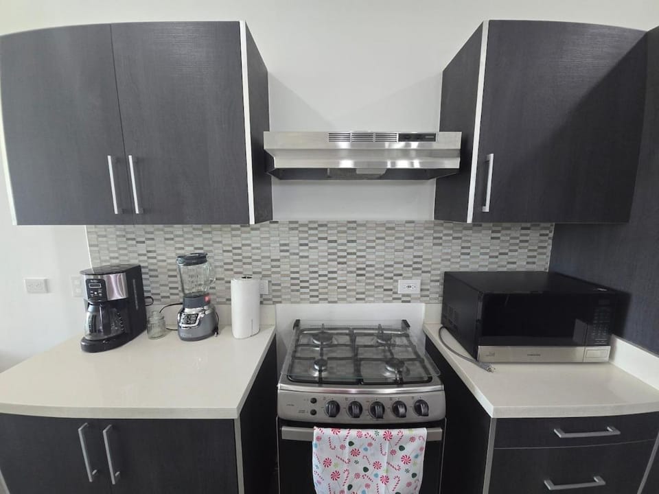 Modern executive apartment with views and parking Apartment in Managua
