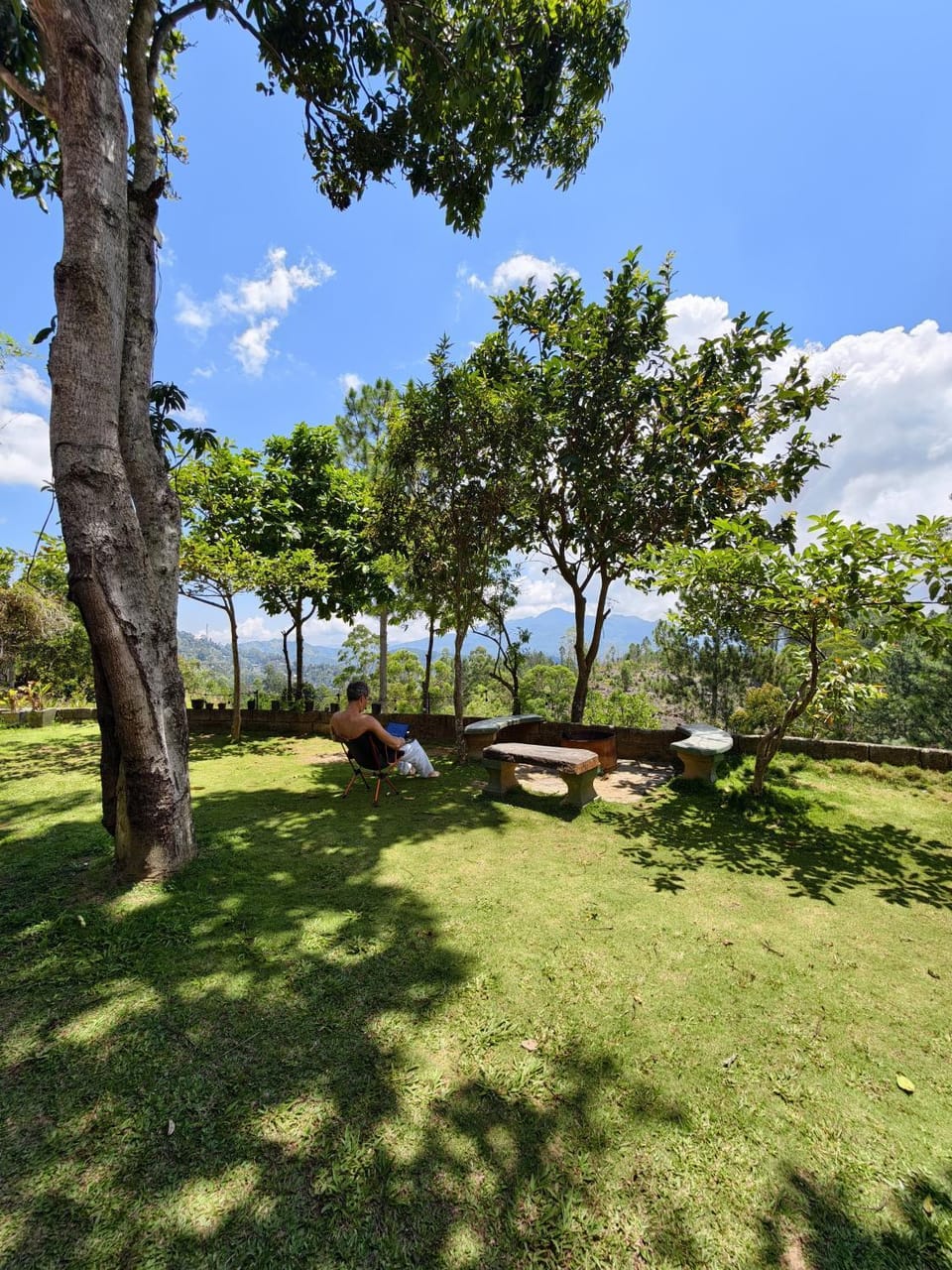 Day, Natural landscape, Garden view