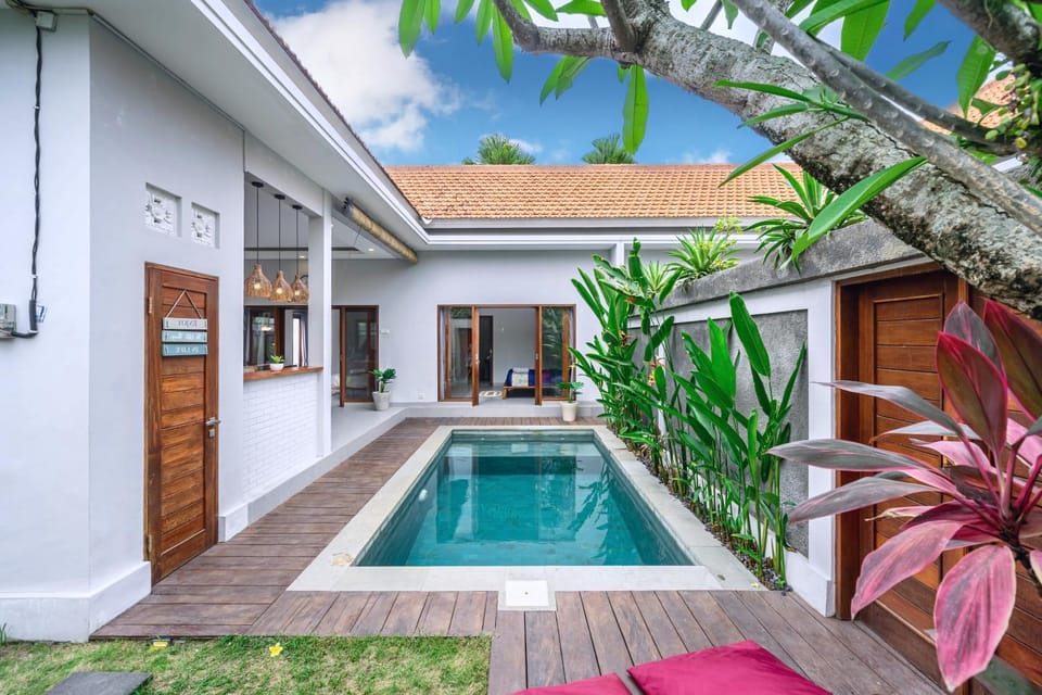 Property building, Day, Garden, Garden view, Pool view, Swimming pool