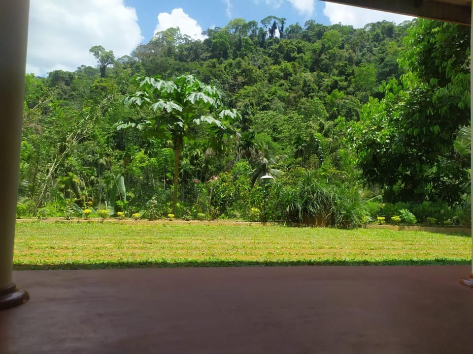 Mountain view