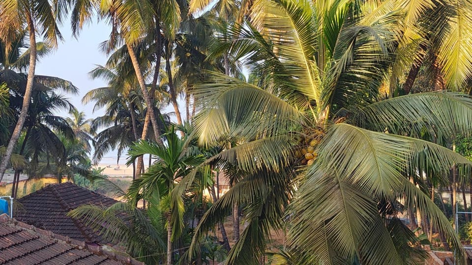 Sea view