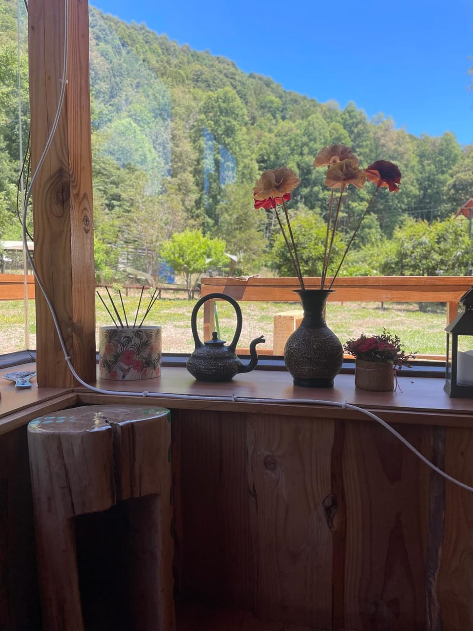 Garden view