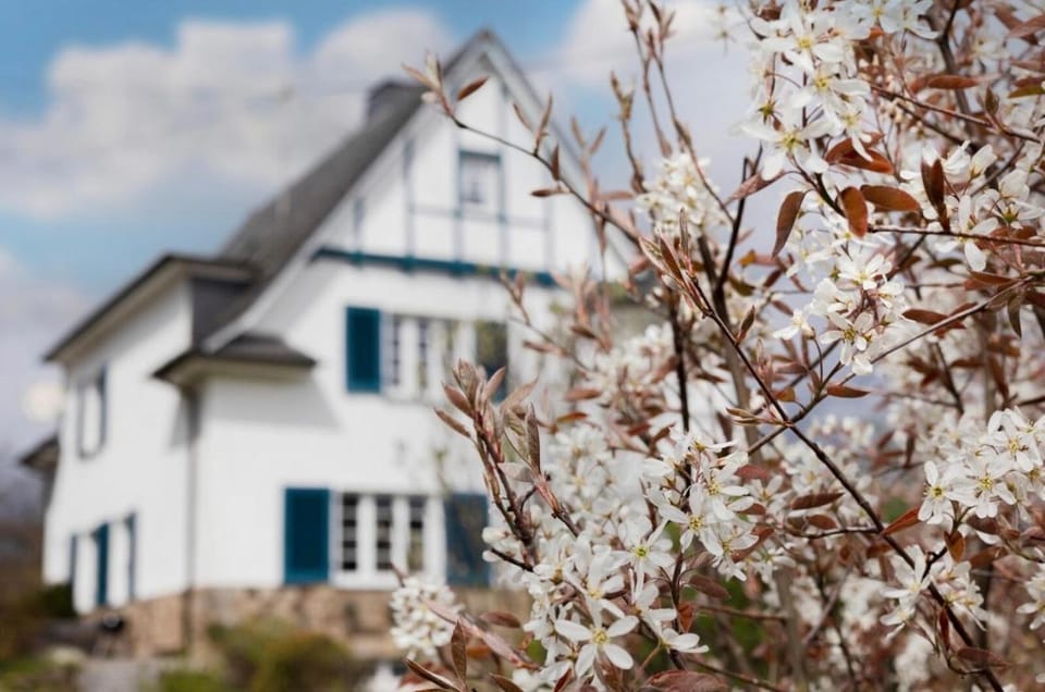 Villa Vulkaneifel Apartment in Kelberg