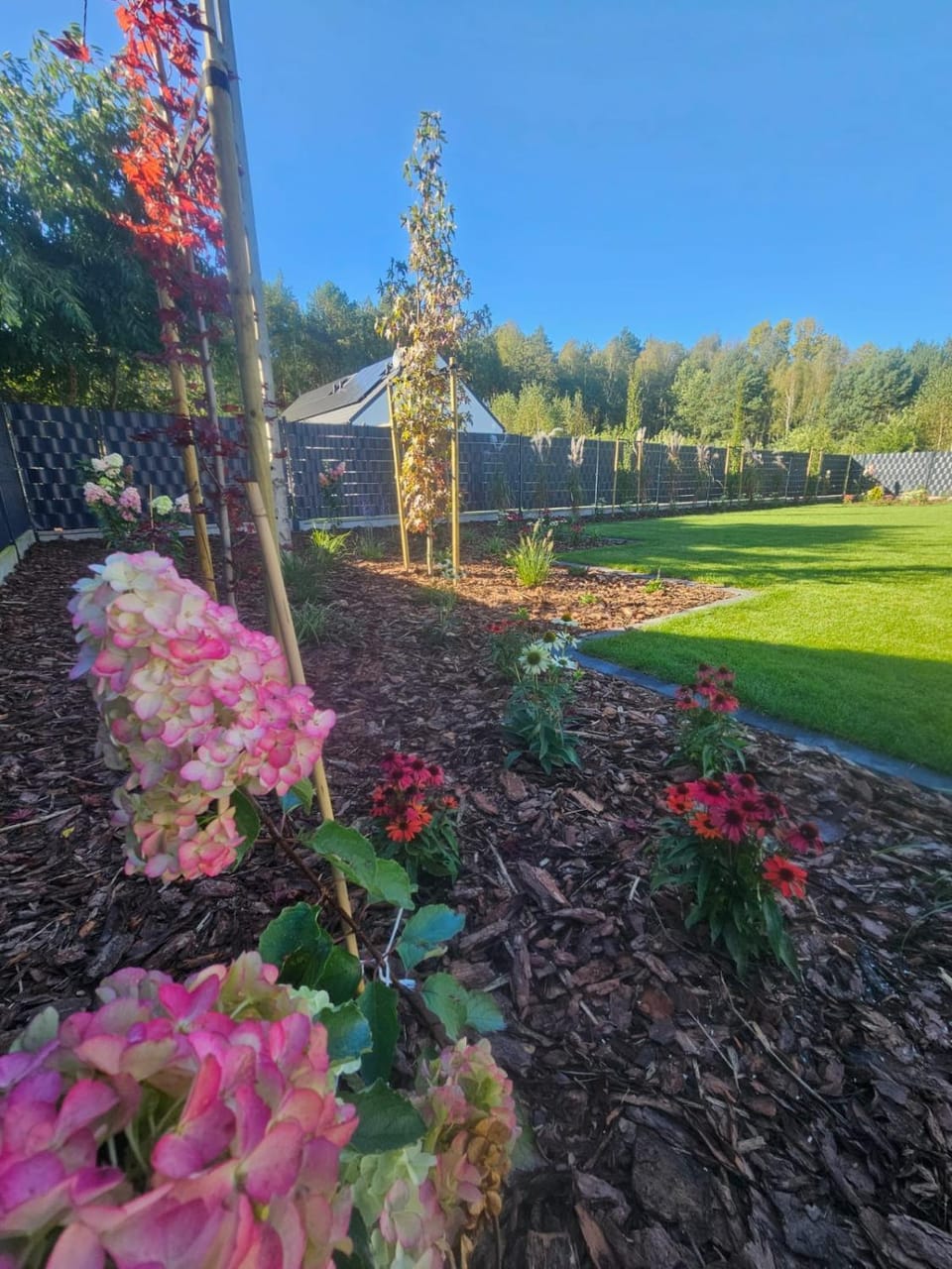 Garden, Garden, Garden view