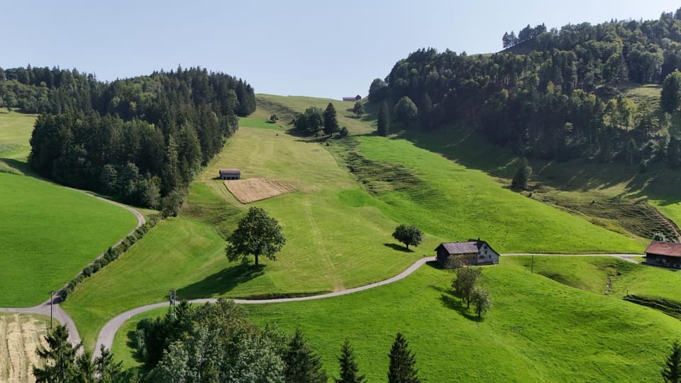 Natural landscape